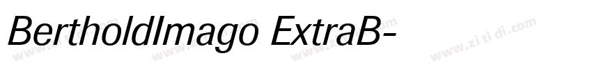 BertholdImago ExtraB字体转换